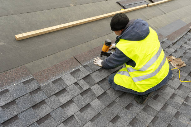 Best Roof Gutter Cleaning  in Porcupine, SD
