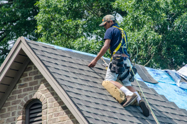 Professional Roofing Contractor in Porcupine, SD